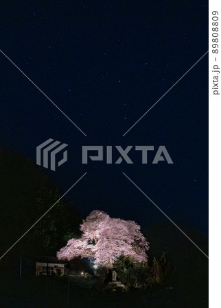 満天の星空と樋下のエドヒガンザクラ ライトアップ 和歌山県海草郡紀美野町 満天の星空と樋下のエドヒガンザクラ ライトアップ 和歌山県海草郡紀美野町 89808809