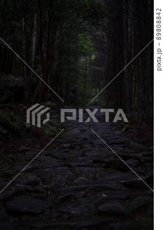 世界遺産熊野古道 雨上がりの馬越峠石畳道 世界遺産熊野古道 雨上がりの馬越峠石畳道 89808842