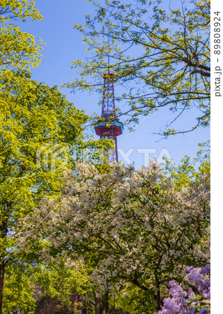 札幌 大通公園 ライラック リラ 札幌 大通公園 ライラック リラ 89808924
