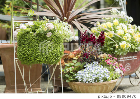 ガーデニング プランター 寄せ植え ガーデニング プランター 寄せ植え 89809470