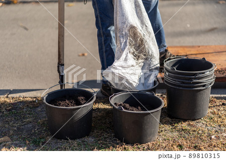 man pour black soil in garden bucket for planting new tree or gardening outdoor man pour black soil in garden bucket for planting new tree or gardening outdoor 89810315