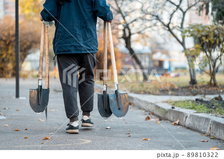 planting new trees with gardening tools or male volunteer carry shovels outdoor planting new trees with gardening tools or male volunteer carry shovels outdoor 89810322
