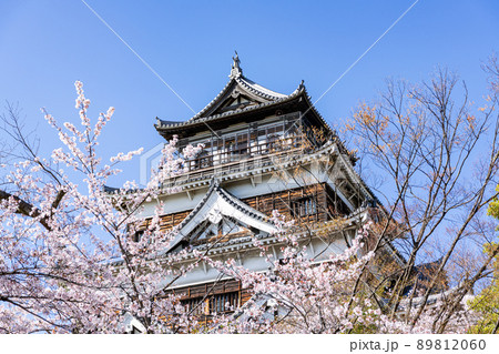 広島県広島市　満開の桜と快晴の空　広島城天守 89812060