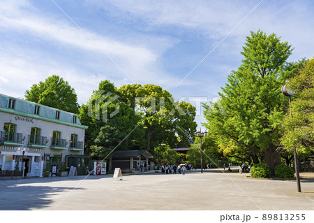 【都市風景】上野恩賜公園 89813255