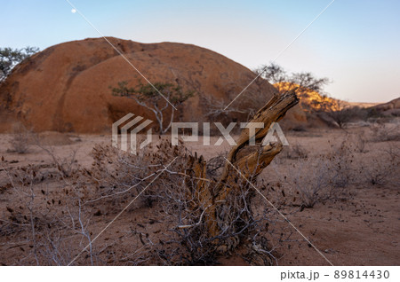 The Spitzkoppe area around sunset 89814430