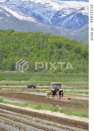 初夏の北海道蘭越町で水田の代かき作業と残雪のニセコ連峰の風景を撮影 初夏の北海道蘭越町で水田の代かき作業と残雪のニセコ連峰の風景を撮影 89814538