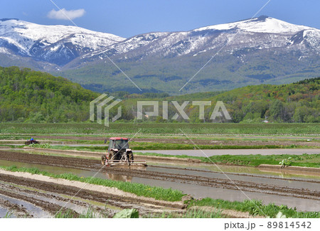 初夏の北海道蘭越町で水田の代かき作業と残雪のニセコ連峰の風景を撮影 初夏の北海道蘭越町で水田の代かき作業と残雪のニセコ連峰の風景を撮影 89814542