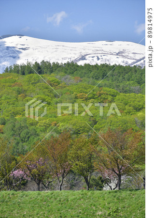 初夏の北海道蘭越町で残雪のニセコ連峰と里山の風景を撮影 初夏の北海道蘭越町で残雪のニセコ連峰と里山の風景を撮影 89814975