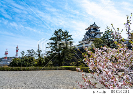 高知県高知市　二の丸から眺める春の高知城の天守 89816281