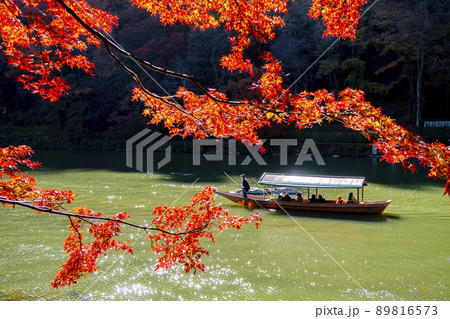 嵐山　紅葉　屋形船 89816573