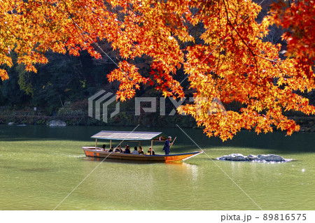 嵐山　紅葉　屋形船 89816575