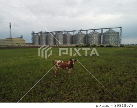 Grain elevator. Metal grain elevator in agricultural zone. Agriculture storage for harvest. Grain elevators on green nature background. Exterior of agricultural factory. Nobody. 89818678