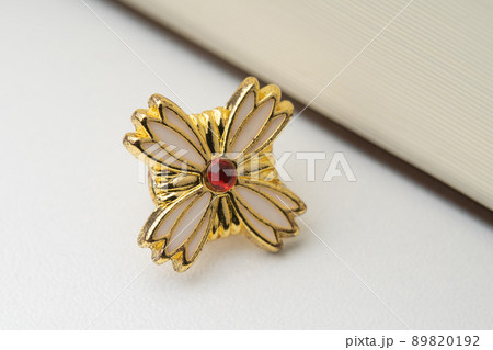 検事バッジイメージ 検事バッジイメージ 89820192