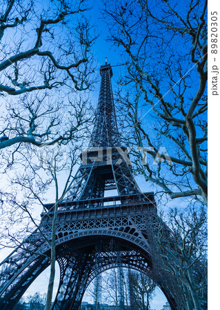 フランス　パリのシャン・ド・マルス公園から見えるエッフェル塔 89820305