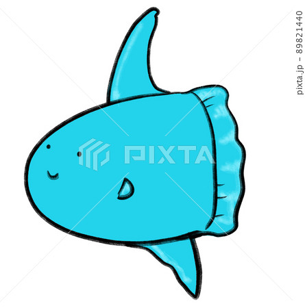 sunfish, mola mola marine under the sea animal cartoon hand drawn doodle illustration 89821440