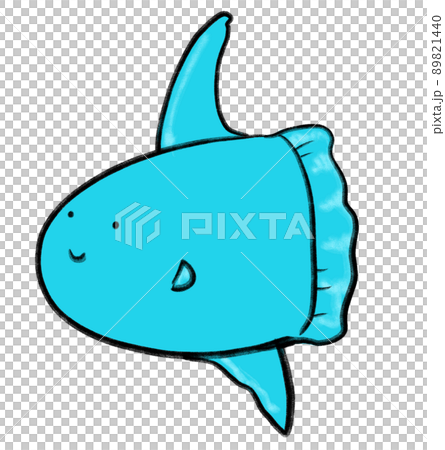 sunfish, mola mola marine under the sea animal cartoon hand drawn doodle illustration 89821440