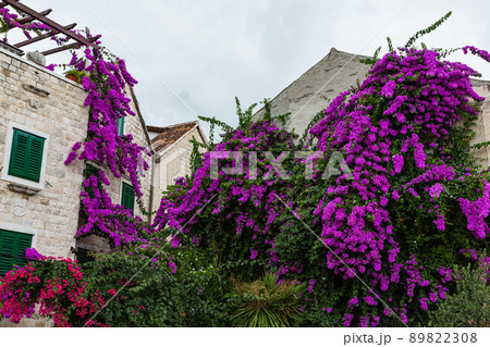 クロアチア スプリットの旧市街の街並み クロアチア スプリットの旧市街の街並み 89822308