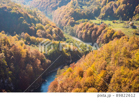 Mountain river Tara and forest in Montenegro. Travel around Montenegro concept Mountain river Tara and forest in Montenegro. Travel around Montenegro concept 89822612