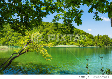 クロアチア　プリトヴィツェ湖群国立公園の風景 89822981