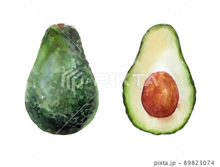 Hand Drawn Watercolor vegetable avocado set isolated on white background. Painting Illustration Hand Drawn Watercolor vegetable avocado set isolated on white background. Painting Illustration 89823074