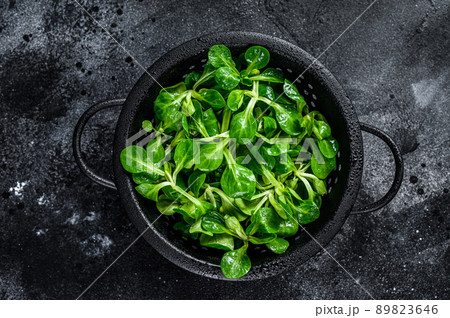 Fresh green Corn salad leaves, lambs lettuce in a colander. Black background. Top view Fresh green Corn salad leaves, lambs lettuce in a colander. Black background. Top view 89823646