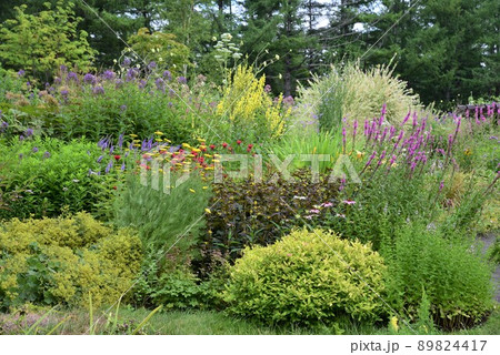 夏の北海道　ガーデン街道　風のガーデン 89824417