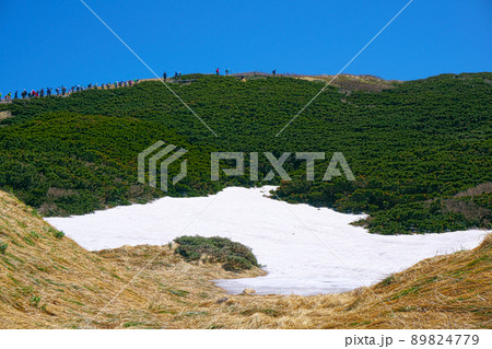 【日本百名山】大山　山頂付近に広がる初夏のダイセンキャラボクの林と残雪2　鳥取県西伯郡大山町 89824779