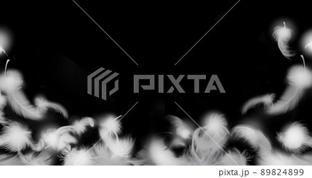 ふわふわ舞う天使の白い羽イラストと黒背景 ふわふわ舞う天使の白い羽イラストと黒背景 89824899