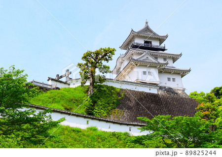 掛川城　続日本100名城 89825244