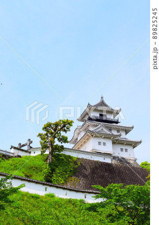 掛川城　続日本100名城 89825245