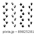 Set of Dinosaur footprint vector icon 89825281