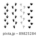 Set of Dinosaur footprint 89825284