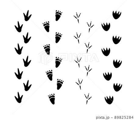 Set of Dinosaur footprint Set of Dinosaur footprint 89825284