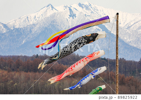 【北海道上富良野町】残雪の十勝岳連邦と鯉のぼり 89825922