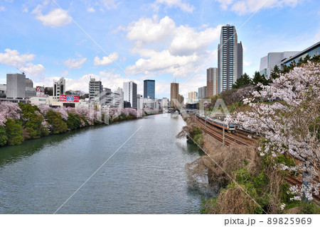中央線沿いの神田川沿いに咲くさくら 89825969