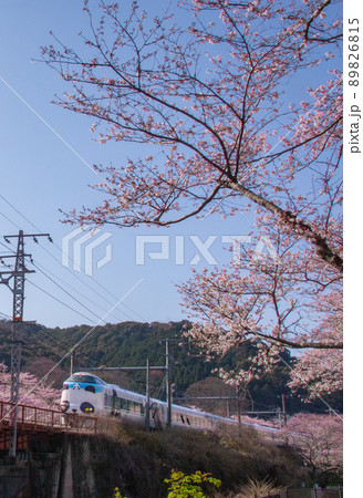 パンダくろしお サステナブル Smile トレイン 阪和線山中渓駅付近 大阪府阪南市 パンダくろしお サステナブル Smile トレイン 阪和線山中渓駅付近 大阪府阪南市 89826815
