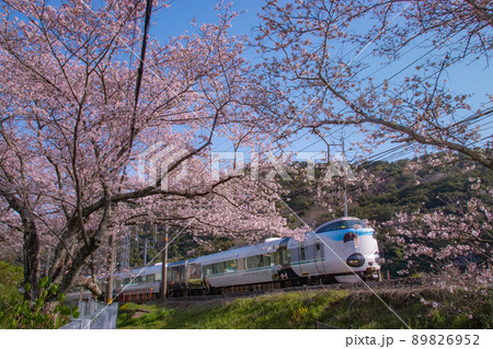 特急パンダくろしお号　阪和線山中渓駅付近　大阪府阪南市 89826952