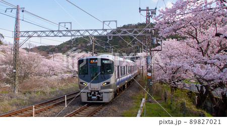 春の阪和線山中渓駅 大阪府阪南市 春の阪和線山中渓駅 大阪府阪南市 89827021