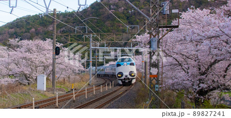 パンダくろしお サステナブル Smile トレイン 阪和線山中渓駅 大阪府阪南市 パンダくろしお サステナブル Smile トレイン 阪和線山中渓駅 大阪府阪南市 89827241