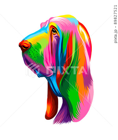 Abstract Basset Hound head portrait, Bloodhound head portrait from multicolored paints. Dog muzzle 89827521
