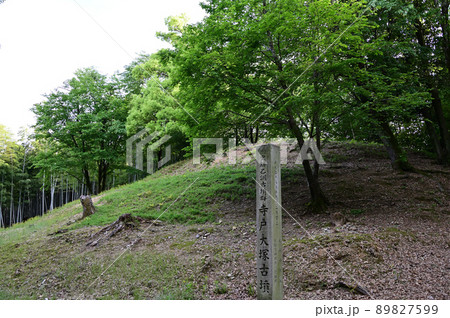 古墳と竹林 古墳と竹林 89827599