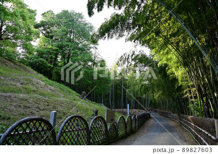 古墳と竹林 89827603