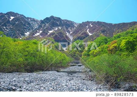 【日本百名山】行者谷から見た新緑と残雪の初夏の大山北壁2 鳥取県西伯郡大山町 【日本百名山】行者谷から見た新緑と残雪の初夏の大山北壁2 鳥取県西伯郡大山町 89828573
