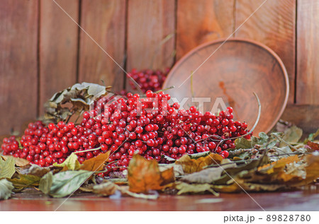 Viburnum berries  on wood 89828780