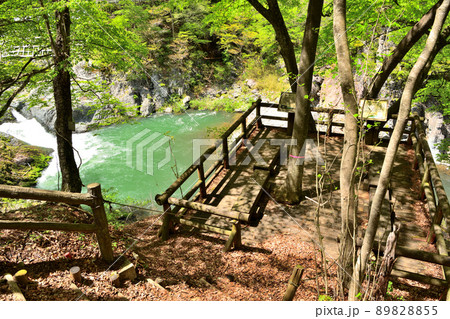 新緑の季節を迎える塩原渓谷遊歩道と布滝展望台 89828855