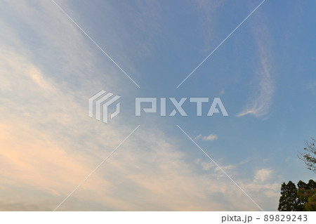 夕方の空　青空　雲　樹木 89829243