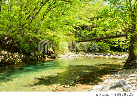 那須塩原にある木の俣園地と木の俣川と巨岩吊り橋 89829529