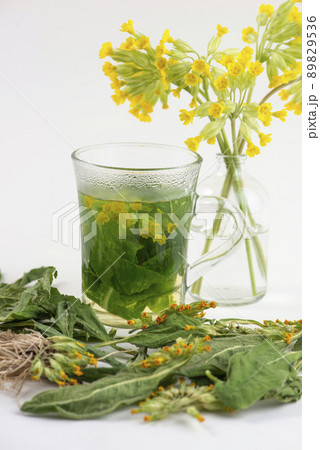 Glass of cowslip, Primula veris, tea and fresh and dried cowslip plant. 89829536