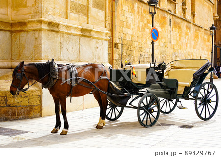 スペイン パルマ・デ・マヨルカの馬車 スペイン パルマ・デ・マヨルカの馬車 89829767
