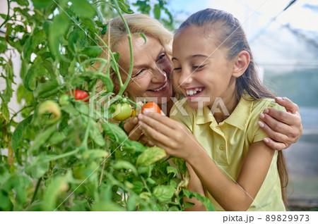 Woman hugging happy girl looking at growing tomatoes 89829973